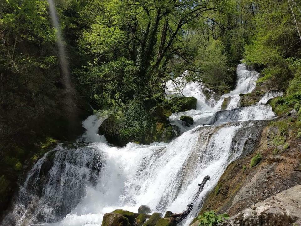 Сибиряк Tskhaltubo Extérieur photo